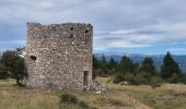 Tocht Stappen Sault - Monieux le Vallat du Loup - Photo 12