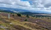 Tour Wandern Mont Lozère et Goulet - Etape 6 le Bleymard  / Pont Montvert - Photo 12