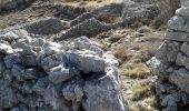 Tour Wandern Cipières - Cipières Sommet de Calern - Photo 4
