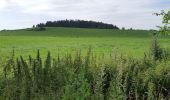 Tocht Stappen Aydat - NARSE D'ESPINASSE DEPUIS LA GARANDIE - Photo 2