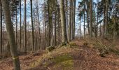 Tocht Te voet Hofheim in Unterfranken - Auf Jägerpfaden zur Schwedenschanze - Photo 2