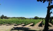 Trail Walking Taulignan - Taulignan chemin de la soie 4km - Photo 2
