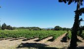 Tour Wandern Taulignan - Taulignan chemin de la soie 4km - Photo 2