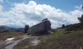 Randonnée Marche Entremont-le-Vieux - Sommet Pinet à partir de la Balme - Photo 9