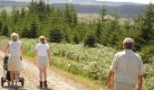 Trail On foot Bütgenbach - WandHogeVenen : Küchelscheid Bergervenn - Photo 1