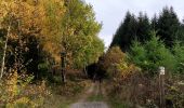 Trail Walking Libramont-Chevigny - Entre Vierre et Ourthe - Photo 7