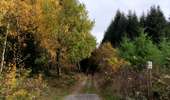 Trail Walking Libramont-Chevigny - Entre Vierre et Ourthe - Photo 7