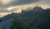 Trail Walking Gigondas - Dentelles de Montmirail - Photo 7