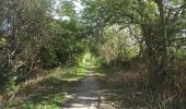 Tour Zu Fuß South Tyneside - Bede's Way - Photo 1