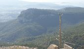 Excursión Senderismo Le Revest-les-Eaux - Le Mont Caume - Photo 15