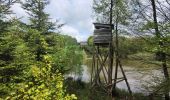Tour Wandern Libin - rando redu  11-05-2023 - Photo 16