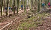 Trail Walking Masevaux-Niederbruck - Rando CLAS du 25/04/2024 - Photo 1