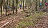 Tocht Stappen Masevaux-Niederbruck - Rando CLAS du 25/04/2024 - Photo 1