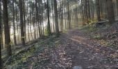 Trail Walking Guebwiller - Guebwiller Bildstoeckle - Photo 2
