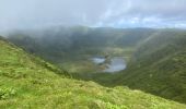 Randonnée Marche Flamengos - FAI GR01 : De volcan en volcan, Faial, Azores - Photo 1