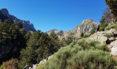 Tour Wandern Le Pla - Roc blanc .étang du Laurenti (Ariège ) - Photo 9