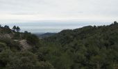 Tocht Stappen Les Baux-de-Provence - les Baux de Provence  - Photo 5