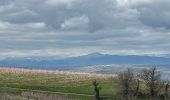 Trail  Saint-Uze - Rando des potiers St uzes 2025 - Photo 2