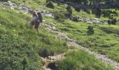 Tour Wandern Saint-Pierre-d'Entremont - rochers de Fouda Blanc et sommet du Pinet  - Photo 1