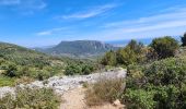 Randonnée Marche Évenos - Toulon Col du corps de garde Mont Caume - Photo 5