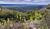 Percorso Marcia Lacoste - Massif des Cèdres via Lacoste - Photo 11