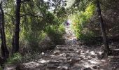 Trail Walking Riomaggiore - RA 2019 Cinque Terre Riomaggiore Porto Venere - Photo 5