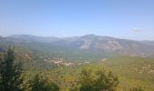 Tour Wandern Taurinya - Jour 3 Pic du Canigou  - Photo 13