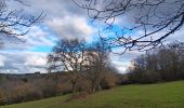 Trail Walking Ferrières - entre Jehonhé et La Fagne  - Photo 15