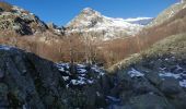 Randonnée Marche Vivario - sortie vers monte doru  - Photo 1