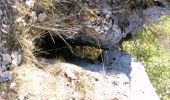 Trail Walking Ponet-et-Saint-Auban - Ponet-et-St-Auban - Montagne de Desse - Marignac - Photo 11