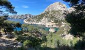 Trail Walking Marseille - Les calanques de Cassis . Sugiton Morgiou.Sormiou - Photo 15