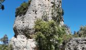 Tour Wandern Méounes-lès-Montrieux - les aiguilles de valbelle  - Photo 3