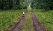 Trail Walking Locquignol - Hachette.  Berges de Sambre et forêt  - Photo 1