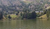 Trail Walking Le Valtin - Les quatre lacs - Photo 9