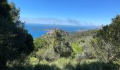 Tour Wandern Èze - Panoramas autour de EZE - Photo 3