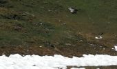 Randonnée Marche Peisey-Nancroix - Vanoise marmotte et névé - Photo 4