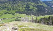 Randonnée Marche Châtillon-en-Diois - Croix du lautaret - Pas du Gris - Montagnette - Photo 1