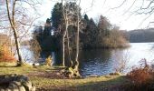 Percorso A piedi Sconosciuto - Castlewellan Forest Park - Cypress Pond Walk - Photo 6