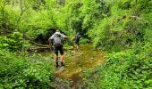 Randonnée Marche Langres - Boucle 32 km autour de Langres - Photo 8