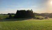 Tour Reiten Fougerolles-Saint-Valbert - Étang des prêtres circuit 2h - Photo 2