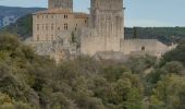 Tocht Stappen Brissac - brissac, notre Dame du suc - Photo 4