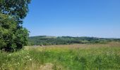 Tocht Stappen Houffalize - rando wibrin 5-06-2023 - Photo 2