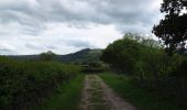 Tocht Te voet Unknown - Llangollen History Trail - Photo 2