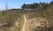 Trail Walking Rochefort - Rochefort Naviguer - Photo 14