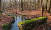 Tour Wandern Vieux-Moulin - en forêt de Compiègne_25_les Tournantes du Mont Saint-Pierre - Photo 8