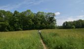 Trail Walking Divonne-les-Bains - Randonnée - Photo 5