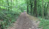 Trail Walking Montigny-le-Tilleul - BE-Montigny-le-Tilleul - Landelies - Aulne - 2 - Photo 13