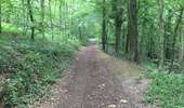 Trail Walking Montigny-le-Tilleul - BE-Montigny-le-Tilleul - Landelies - Aulne - 2 - Photo 13