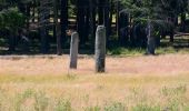 Percorso Marcia Collobrières - SityTrail - Collobriéres - Menhirs de Lambert - Photo 10