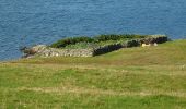 Randonnée A pied Unknown - Rams Head Lighthouse, Whitesness - Photo 5